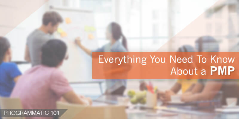 Everything You Need To Know About A PMP