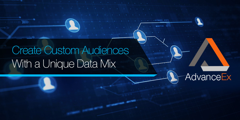 Create Custom Audiences with a Unique Data Mix